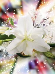 Consalnet Virág minta poszter, fotótapéta, Vlies (206x275 cm, álló) (C1-3489VEA)