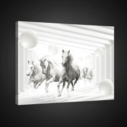 Consalnet Vászonkép, Lovak fehér folyosón, 100x75 cm méretben (C5-2423O1)