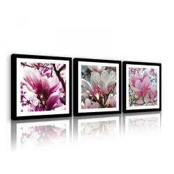 Consalnet Vászonkép 3 darabos, Magnólia, 3 db 25x25 cm méret (C5-11267S13)