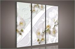 Consalnet Orchidea, 3 darabos vászonkép, 90x80 cm méretben (C5-949S6)