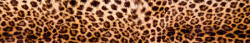 Dimex LEOPARD SKIN öntapadós konyhai poszter, 350x60 cm (KI-350-069)