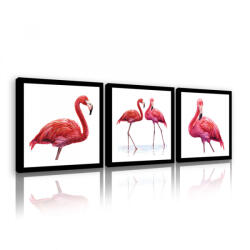 Consalnet Vászonkép 3 darabos, Flamingók, 3 db 25x25 cm méret (C5-11272S13)