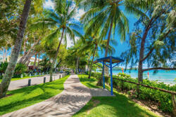 Dimex Vlies Fotótapéta - Palm tree road - 375x250 cm (MS-5-1799)