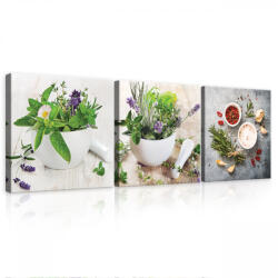 Consalnet Vászonkép 3 darabos, Fűszerek és gyógynövények, 3 db 25x25 cm méret (C5-14285S13)