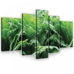 Consalnet Vászonkép, 5 darabos, Páfrányok 170x100 cm méretben (C5-10111S4A)