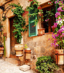 Dimex STREET GARDEN fotótapéta, poszter, vlies alapanyag, 225x250 cm (MS-3-0046)