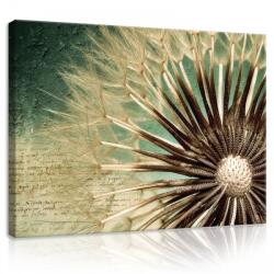 Consalnet Vászonkép, Pitypang, 100x75 cm méretben (C5-11909O1)