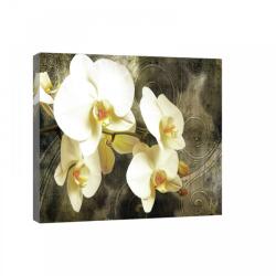 Consalnet Orchidea, vászonkép, 60x40 cm méretben (C5-20032O4)