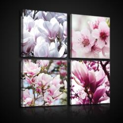 Consalnet Vászonkép 4 darabos, Cseresznyevirág 50x50 cm méretben (C5-10812S20)