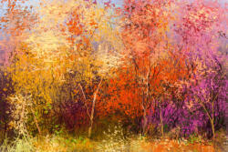 Dimex Vlies Fotótapéta - Colorful autumn trees - 375x250 cm (MS-5-1980)