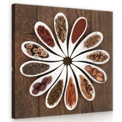 Consalnet Fűszernövények, magok, vászonkép 40x40 cm méretben (C5-11733O5)