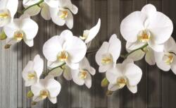 Consalnet Orchidea poszter, fotótapéta (104 x 70, 5 cm) (C1-1015VEM)