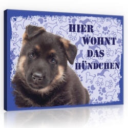Consalnet Vászonkép, Kutya - HIER WOHNT DAS HÜNDCHEN, 60x40 cm méretben (C5-11444O4)