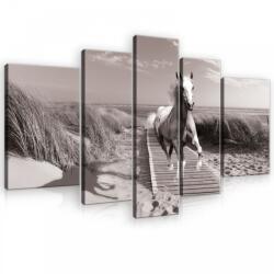 Consalnet Vászonkép, 5 darabos, Ló a parton 170x100 cm méretben (C5-10229S4A)