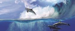 Consalnet Delfin vlies poszter, fotótapéta 442VEEXXL /624x219 cm/ (442-VEE-XXL)