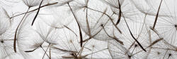 Dimex DANDELION SEEDS öntapadós konyhai poszter, 180x60 cm (KI-180-050)