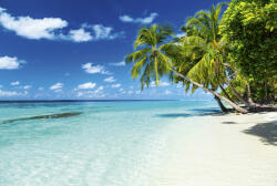 Dimex PARADISE BEACH fotótapéta, poszter, vlies alapanyag, 375x250 cm (MS-5-0215)