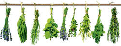 Dimex HERBS fotótapéta, poszter, vlies alapanyag, 375x250 cm (MS-5-0240)