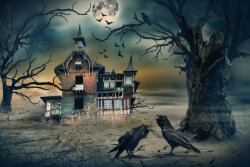 Dimex Vlies Fotótapéta - Scary house - 375x250 cm (MS-5-1255)