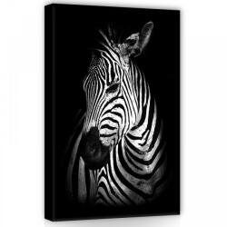 Consalnet Zebra, vászonkép, 40x60 cm méretben (C5-11767O4)