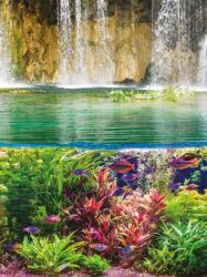 Consalnet Halak a víz alatt poszter, fotótapéta, Vlies (206x275 cm, álló) (C1-3226VEA)