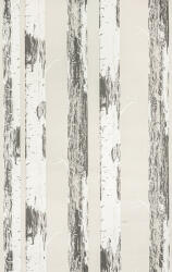 Rasch Drapp alapon nyirfa mintás tapéta (285406) (285406)