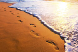 Dimex FOOTSTEPS fotótapéta, poszter, vlies alapanyag, 375x250 cm (MS-5-0193)