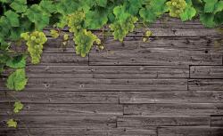 Consalnet Deszkafal poszter, fotótapéta Vlies (312 x 219 cm) (C1-2336VEXXL)