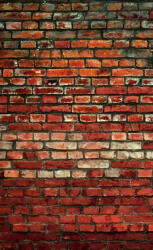 Dimex BRICK WALL fotótapéta, poszter, vlies alapanyag, 150x250 cm (MS-2-0166)