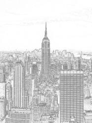 Consalnet New York körvonalai poszter, fotótapéta (206 x 275 cm) (C1-10688VEA)