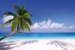 Dimex BEACH fotótapéta, poszter, vlies alapanyag, 375x250 cm (MS-5-0194)