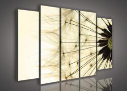 Consalnet Vászonkép, 5 darabos Pitypang 150x100 cm méretben (C5-979S12)