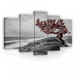 Consalnet Vászonkép 5 darabos, Piros levelű fa a hegytetőn 100x60 cm méretben (C5-11771S17)