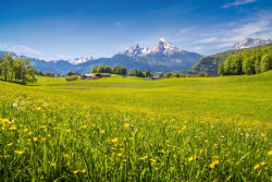 Dimex Vlies Fotótapéta - Idyllic Alpine view - 375x250 cm (MS-5-1714)