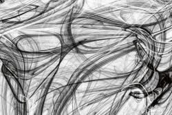 Dimex Vlies Fotótapéta - black and white desing - 375x250 cm (MS-5-2515)