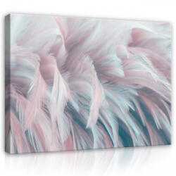 Consalnet Vászonkép, Tollak, 60x40 cm méretben (C5-13989O4)