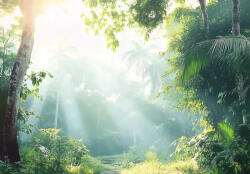 Consalnet Napsugarak a zöld erdőben poszter, fotótapéta, Vlies (150 x 105 cm) (C1-15582VX3)