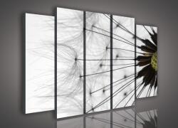 Consalnet Vászonkép, 5 darabos Pitypang 150x100 cm méretben (C5-412S12)