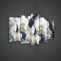 Consalnet Vászonkép 5 darabos, Orchidea 100x60 cm méretben (C5-1505S17)