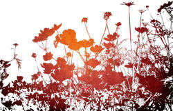 Dimex Vlies Fotótapéta - Floral texture - 375x250 cm (MS-5-1326)