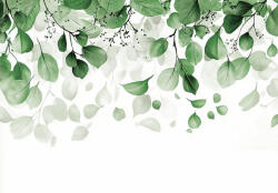 Consalnet Élénk levelek fehér hátérrel poszter, fotótapéta, Vlies (350 x 250 cm) (C1-15534VX7)