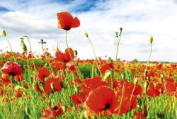 Dimex RED POPPIES fotótapéta, poszter, vlies alapanyag, 375x250 cm (MS-5-0090)