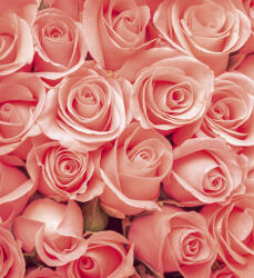 Dimex ROSES fotótapéta, poszter, vlies alapanyag, 225x250 cm (MS-3-0133)