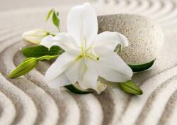 Consalnet Virág poszter, fotótapéta, Vlies (104 x 70, 5 cm) (C1-3522VEM)