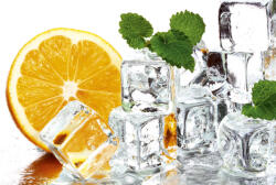 Dimex LEMON AND ICE fotótapéta, poszter, vlies alapanyag, 375x250 cm (MS-5-0238)