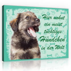 Consalnet Vászonkép, Kutya - Hier wohnt ein meist tüchtiges Hündchen in der Welt, 60x40 cm méretben (C5-11438O4)