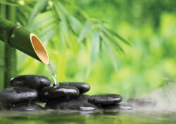 Consalnet Zen poszter, fotótapéta Vlies (152, 5 x 104 cm) (C1-11407VEL)