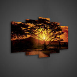 Consalnet Vászonkép 5 darabos, Naplemente Afrikában 100x60 cm méretben (C5-107S17)