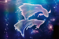 Dimex Vlies Fotótapéta - Pisces - 375x250 cm (MS-5-2276)