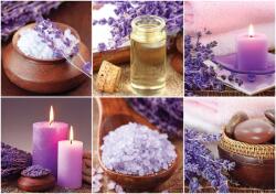 Consalnet Levendula poszter, fotótapéta, Vlies (416 x 254 cm) (C1-10451VEXXXL)